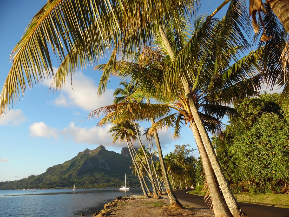 Village Temanuata Bora Bora Eksteriør billede